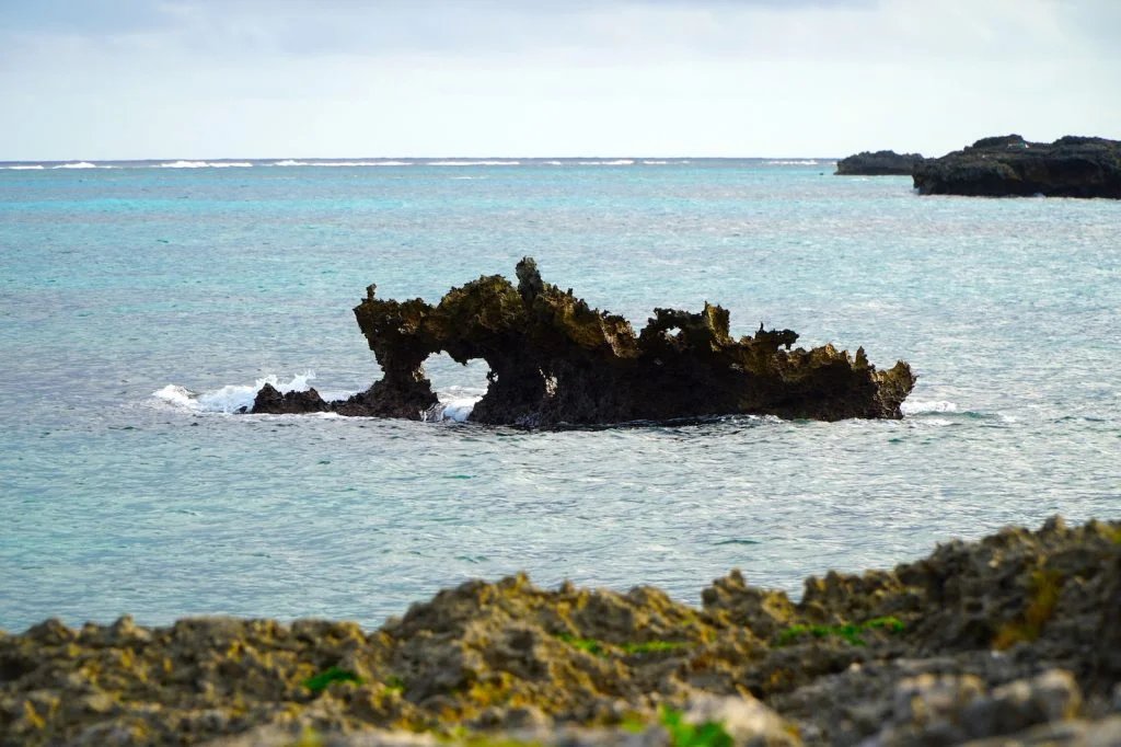 🏰 우에노 독일 문화촌(우에노 도이츠 분카 무라) 이미지 5